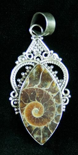 Fossil Ammonite Pendant - Sterling Silver #12058